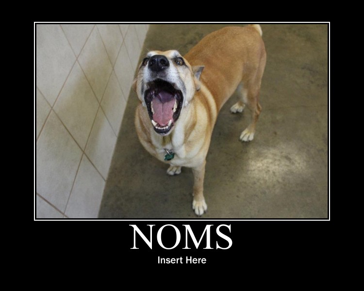 image des noms